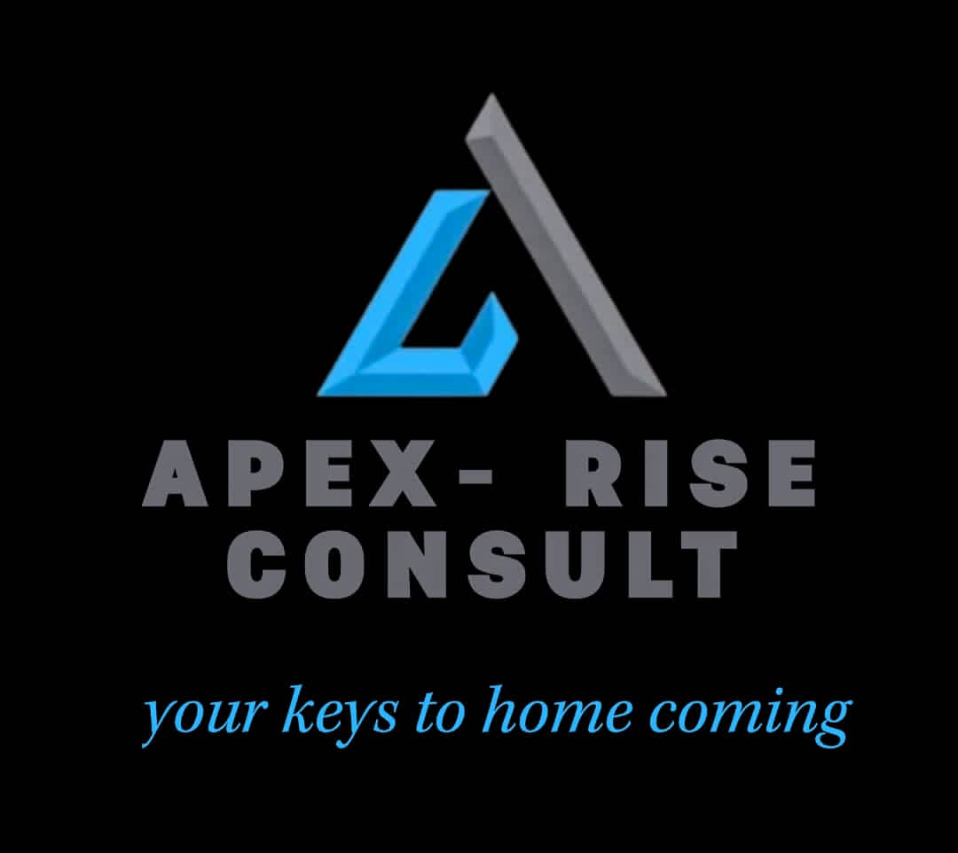 Apex Rise Consult Logo